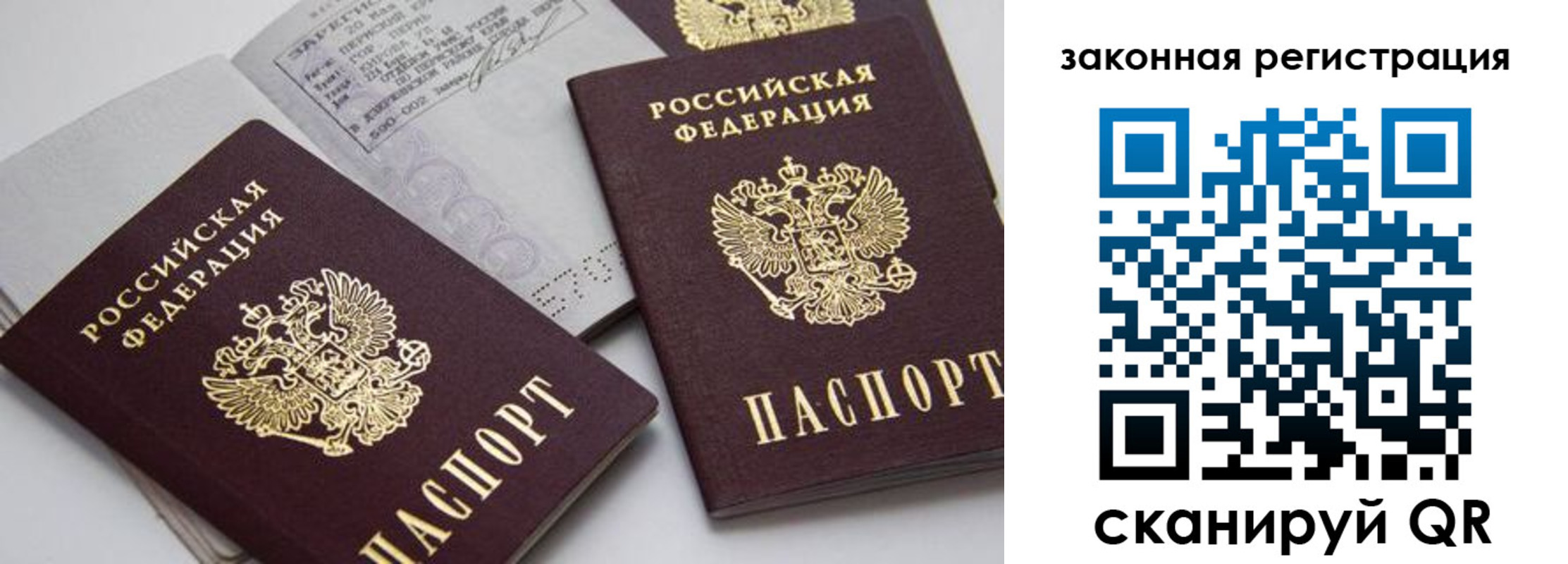 регистрация для школы в Владимирской области